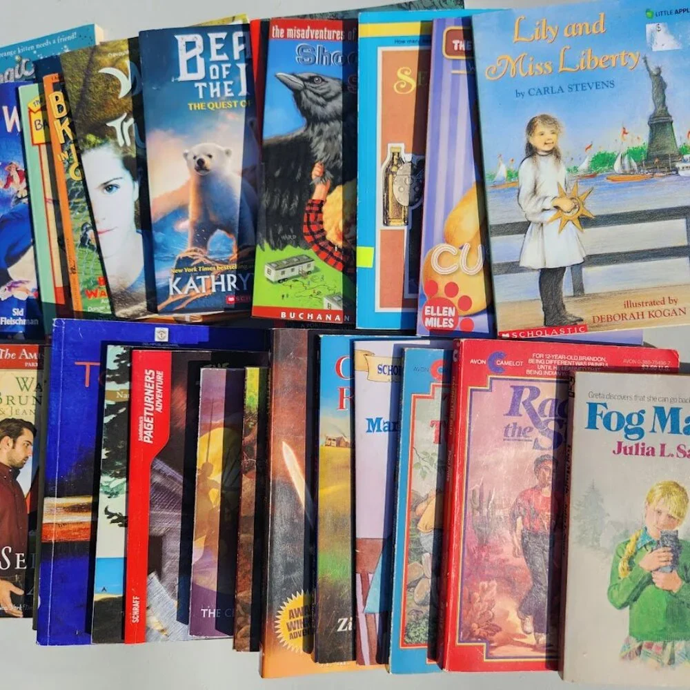 4 Book Bundle Lot Set Chapter Books Young Adult Literature Novels Mystery Books